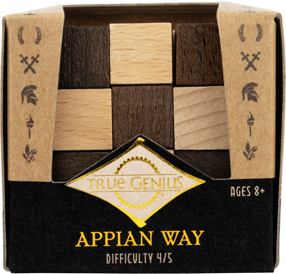 True Genius Appian Way Puzzle Wooden Brainteaser Puzzle