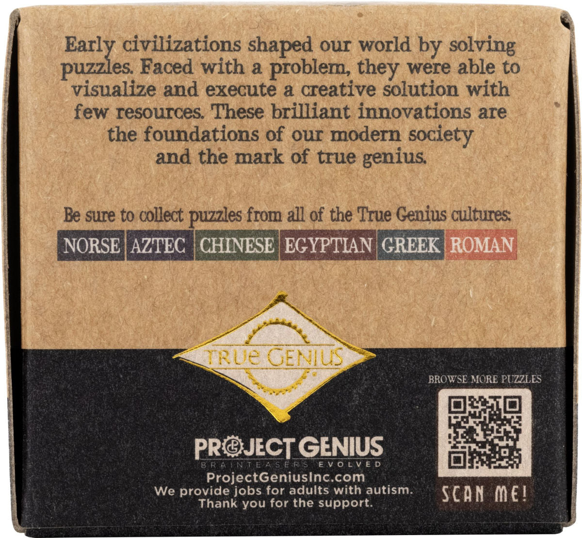 True Genius Mosaic Tile Puzzle Wooden Brainteaser Puzzle