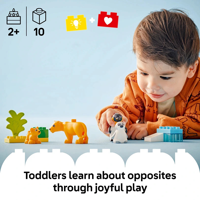 Young toddler in orange shirt playing with colorful LEGO Wild Animal Families set featuring orange lion and penguin figures, green plant, and blue building blocks on white surface against light blue background, with age 2+ and 10 piece count indicators
