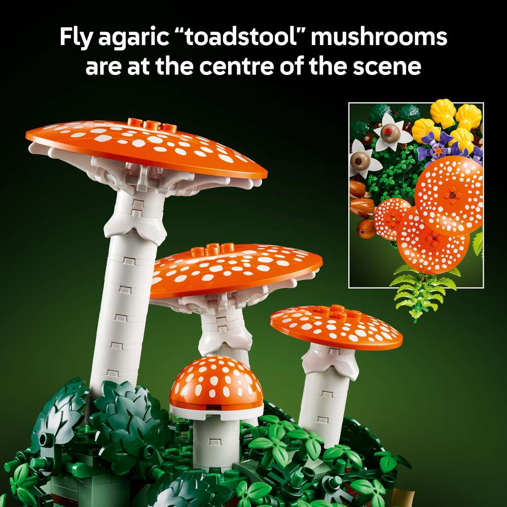 LEGO Botanicals Woodland Mushrooms 11505 - captioned product view. 806 pieces. Ages 18+.