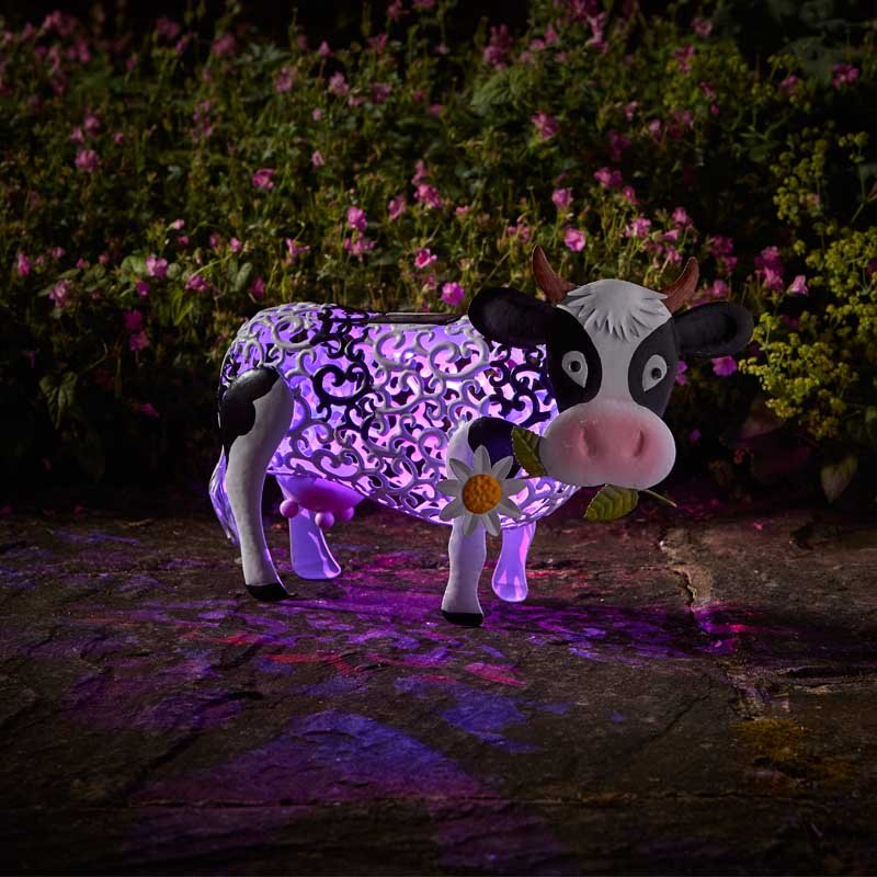 Solar-powered decorative cow garden silhouette with purple LED lighting, white body, black spots and horns, holding a white daisy flower, illuminated against purple flowers in a nighttime garden setting