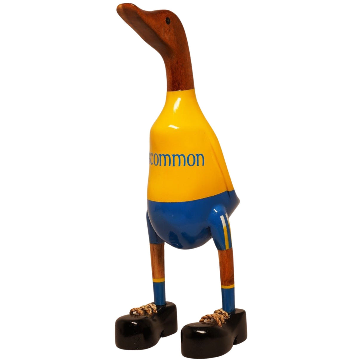 Lucky Ducks County Roscommon | BR22065-095