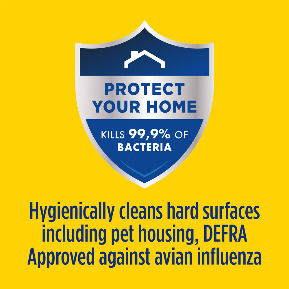 Jeyes Multi Purpose Disinfectant for Outdoor Cleaning 300ml