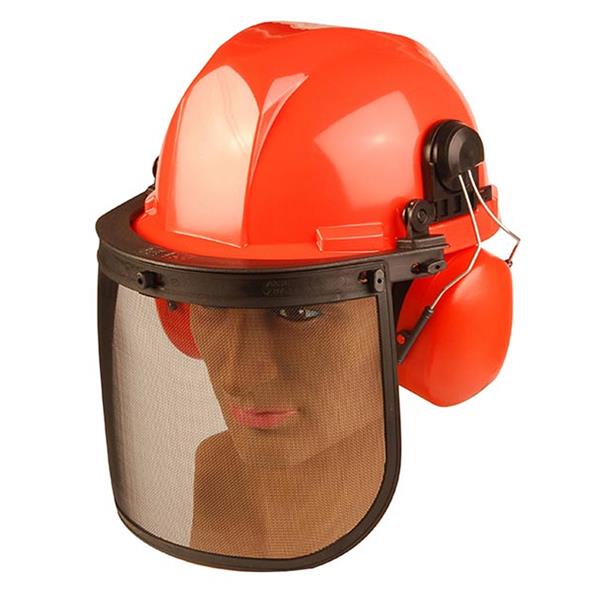 ALM Safety Helmet with Visor | Heavins