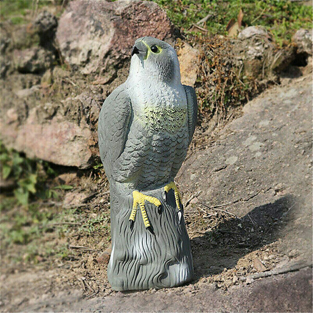 Redwood Falcon Bird Deterrent | BD102