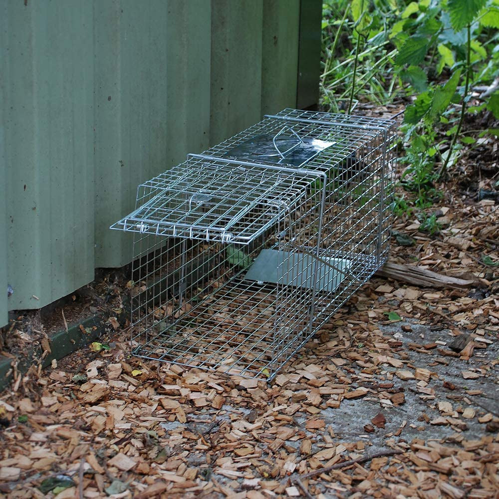 Defenders Animal Trap Large Size Cage (Mink Trap) | STV071