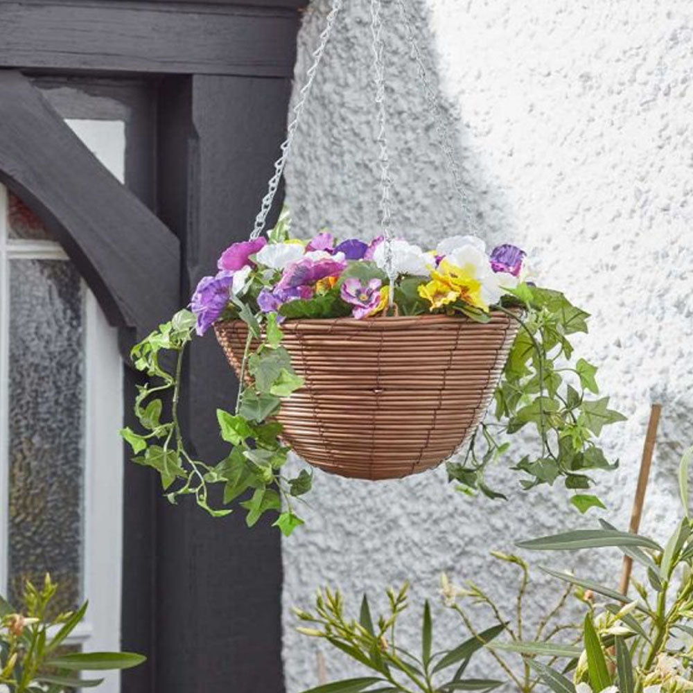 Easy Hanging Basket - Pansy | 260655