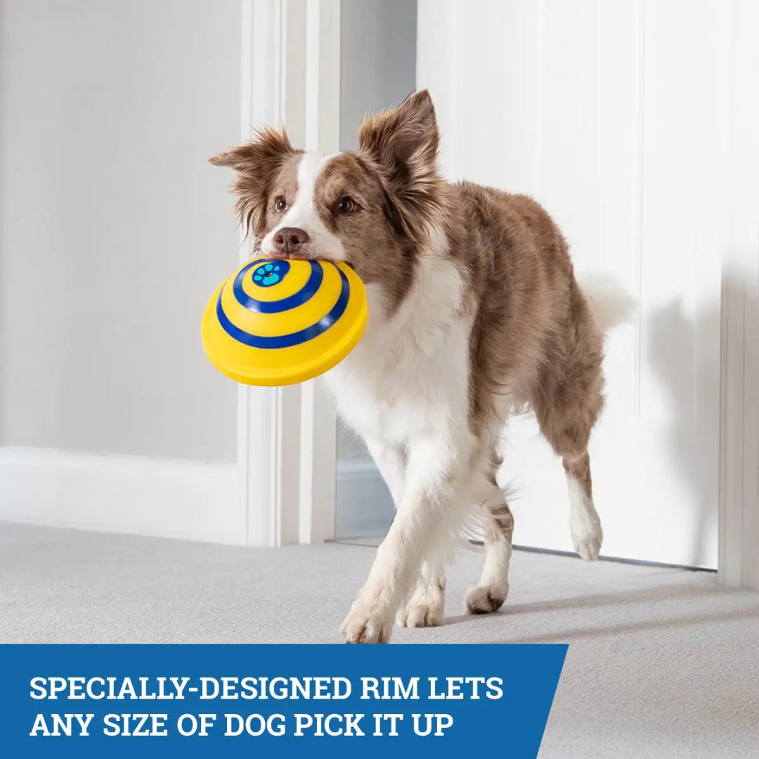 JML Woof Glider Paly Toy for Dogs and Puppies | A000913