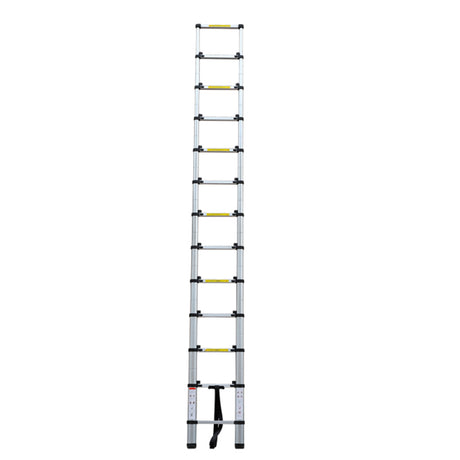 Protool Telescopic Extending Ladder 3.8 Metre | PTLD1138