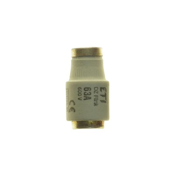 Powermaster 63 Amp DZ Diazed Fuses 2 Pack | Fuse Box