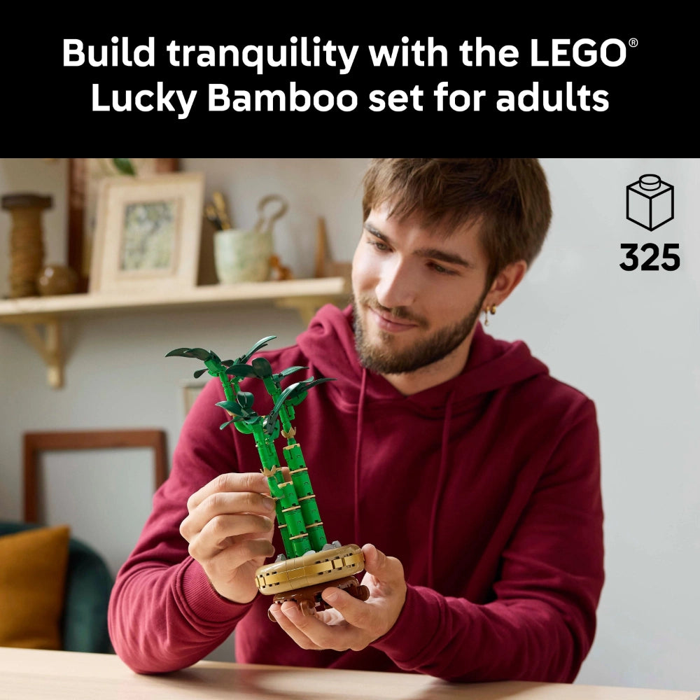 Adult man in burgundy hoodie holding LEGO Lucky Bamboo set with green leafy stems and tan pot base, 325 pieces, displayed in minimalist home interior with shelf and decorative items in background