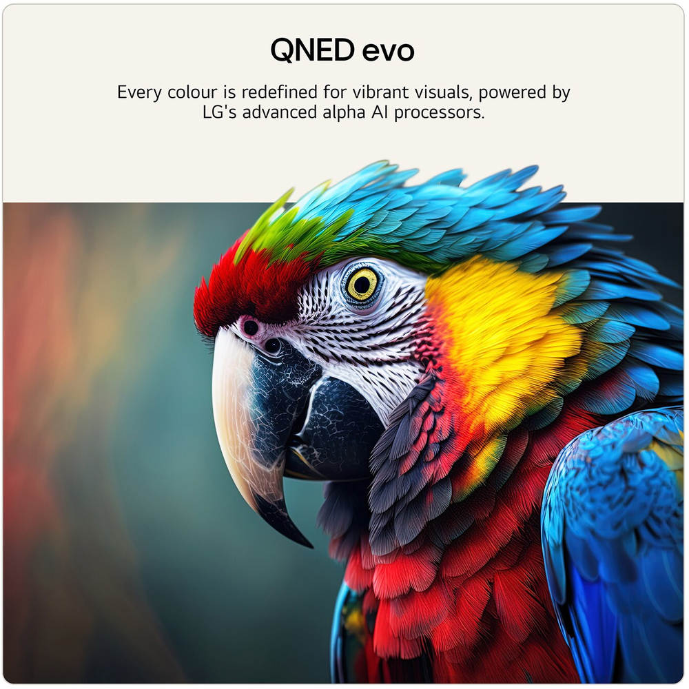 LG QNED86 65 Inch Mini LED Evo AI 4K Ultra HD Smart TV (2026)