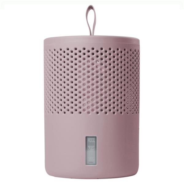 AbsoDry Duo Family Moisture Absorber 600g - Pink | Damp