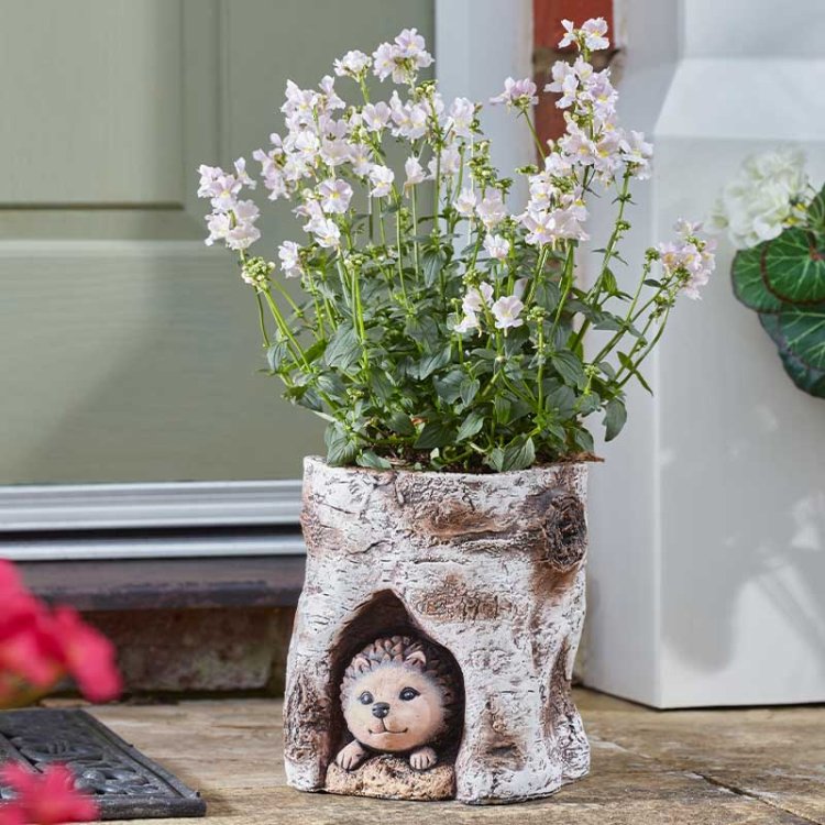 Smart Garden Hog Log Planter | 5071039