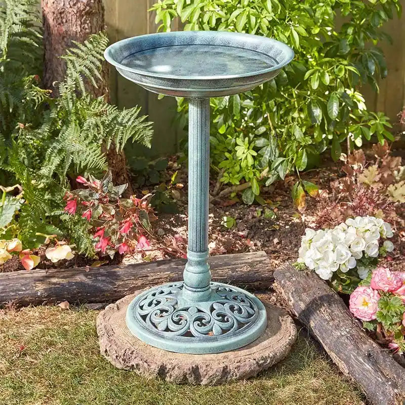 Verdigris bird bath with shallow bowl basin and ornate pedestal base featuring decorative scrollwork, positioned in a garden setting surrounded by flowering plants, ferns and greenery