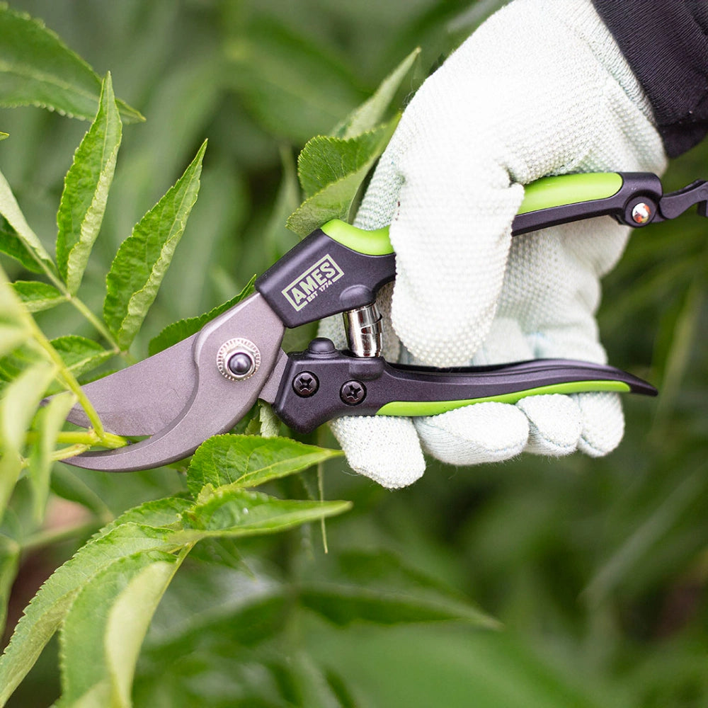 True Temper Ames Bypass Pruner | 9300