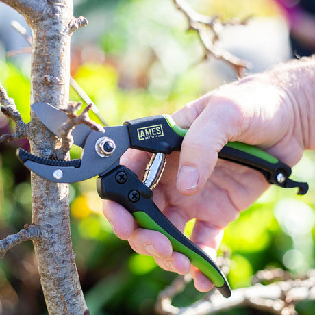 True Temper Ames Anvil Pruner | 9302