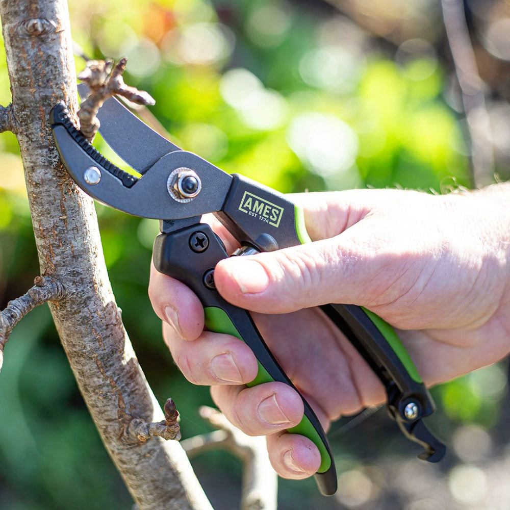 True Temper Ames Anvil Pruner | 9302