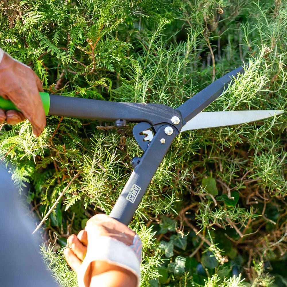 True Temper Ames Geared Hedge Shears Clippers | 9309