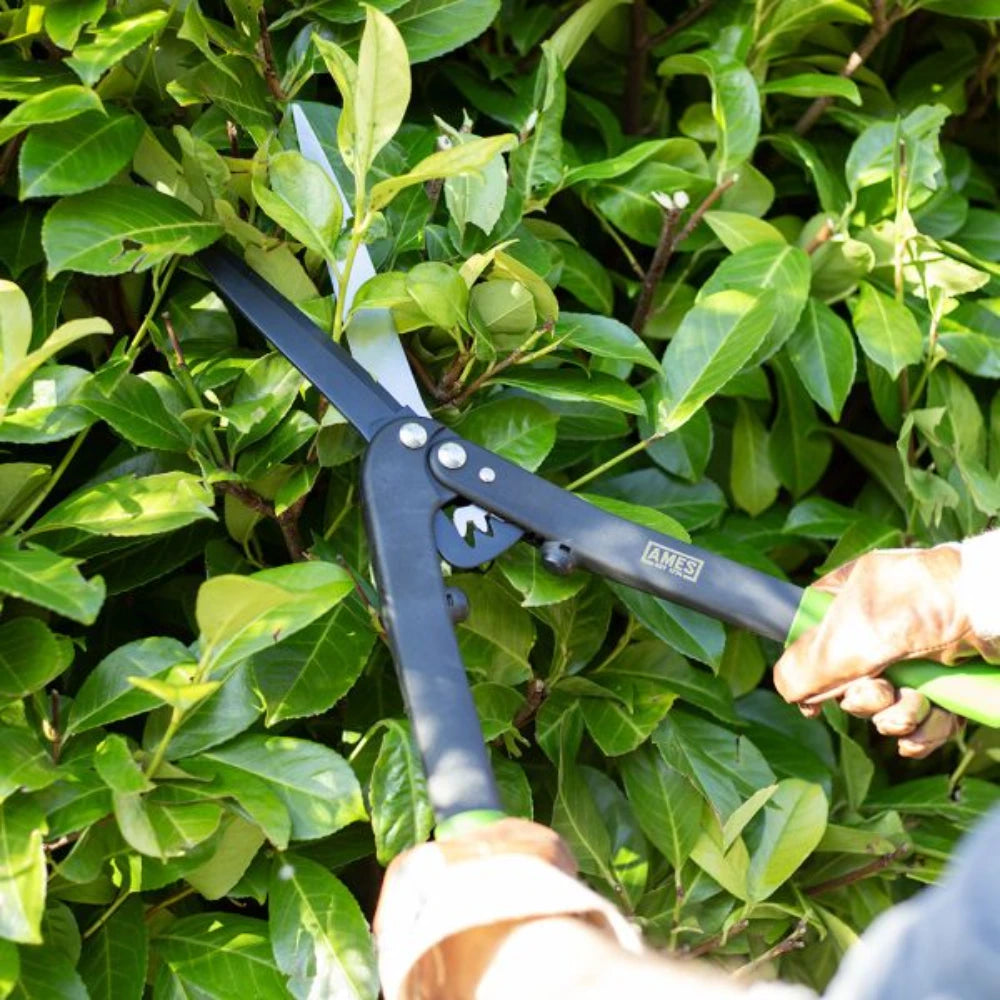 True Temper Ames Geared Hedge Shears Clippers | 9309