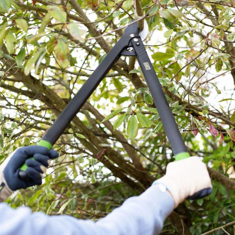 True Temper Ames Long Reach Geared Bypass Lopper | 9314