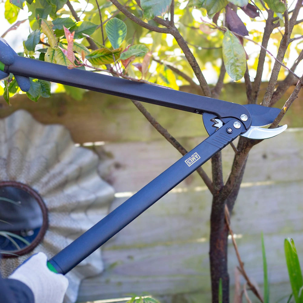 True Temper Ames Long Reach Geared Bypass Lopper | 9314