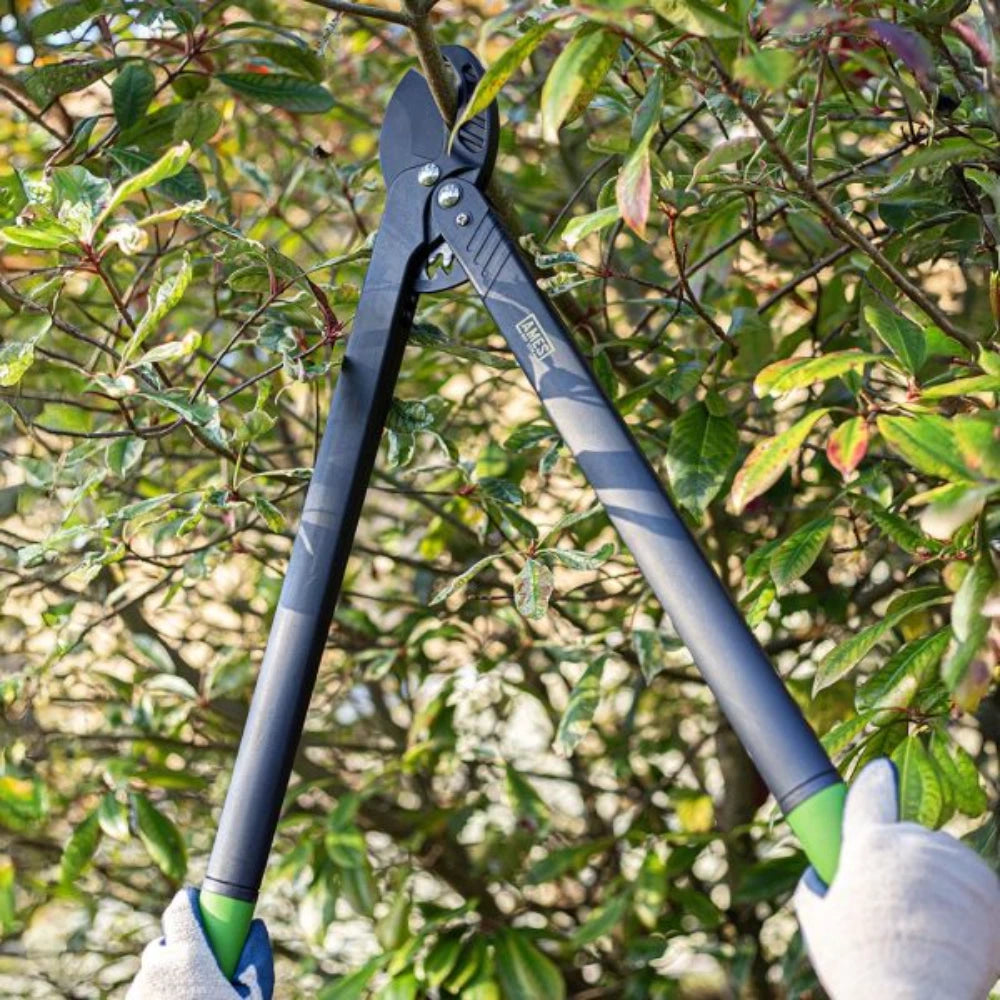True Temper Ames Long Reach Geared Anvil Lopper | 9315