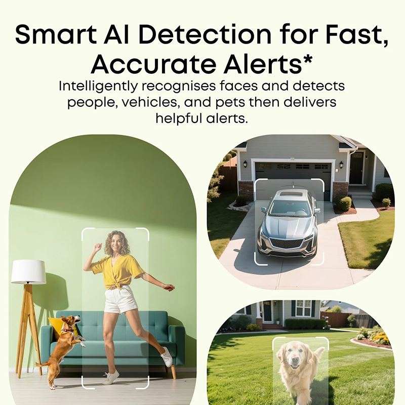 Smart AI detection system with examples of recognizing people, vehicles, and pets.