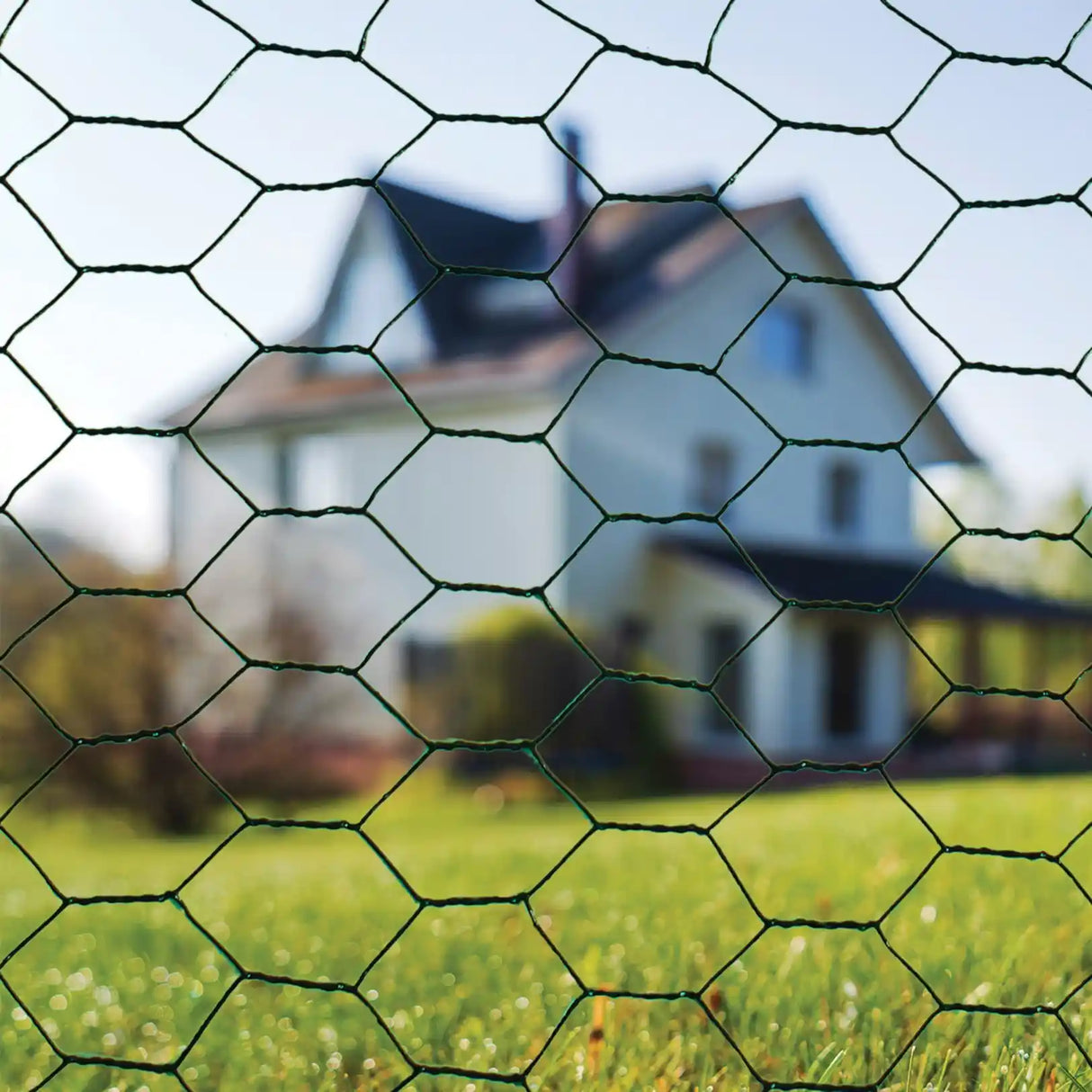 Close-up view of green PVC coated hexagonal chicken wire mesh with blurred residential house and green lawn in background