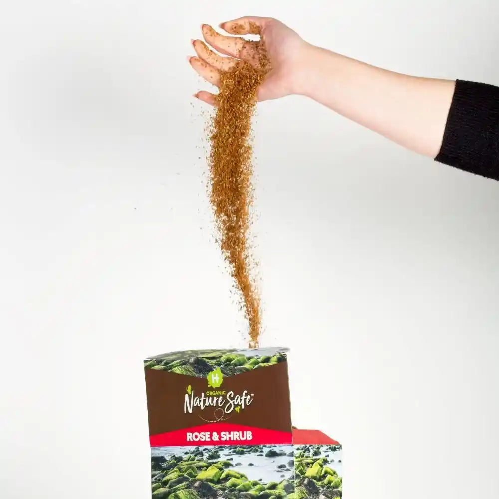 Hand pouring organic Nature Safe Rose and Shrub Feed granules from a brown paper bag onto a box of the product against a white background