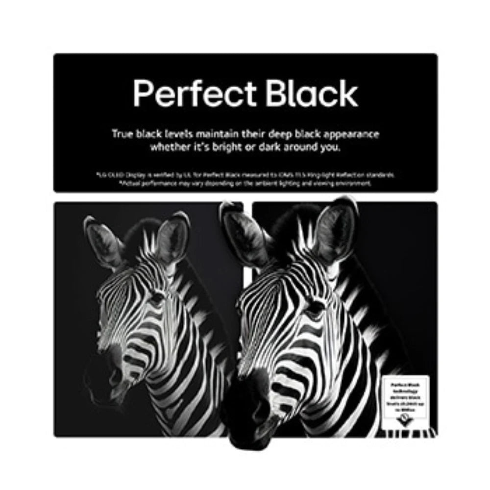 LG 48 Inch OLED AI B5 4K Smart TV (2025) | OLED48B56LA.AEK