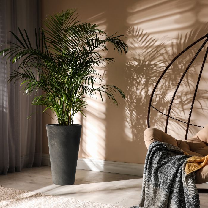 Tierra Verde Concerto Garden Planter Round 66cm in slate grey with green palm plant casting shadows on beige wall, styled with cozy blanket and natural sunlight in modern interior setting