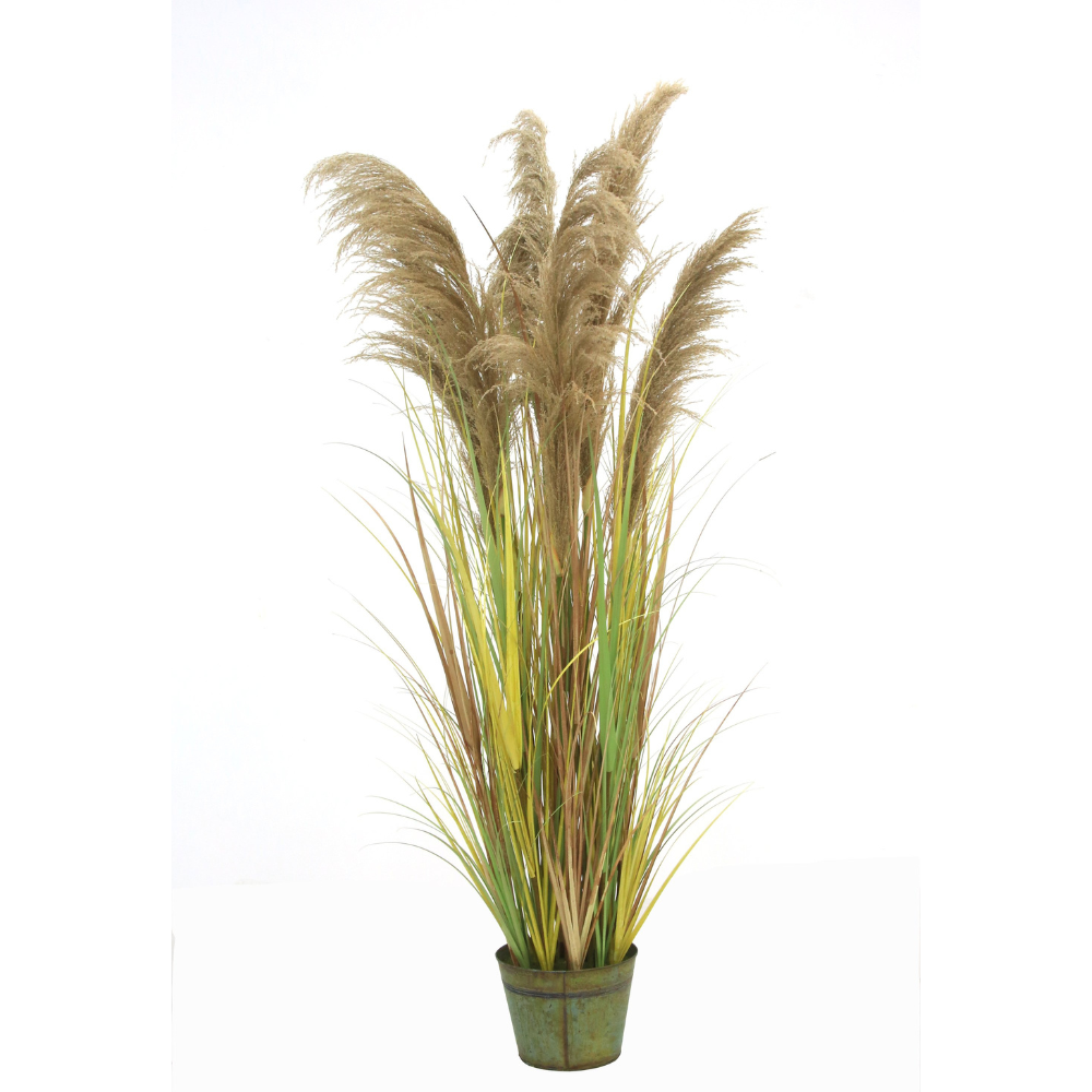 Macquillan 6ft High Artificial Pampas Grass in Metal Pot Beige | MQF6026