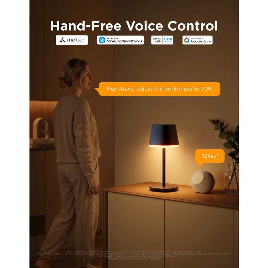 Govee Table Lamp Classic with Rechargable Battery - Multi Coloured | R1741B11