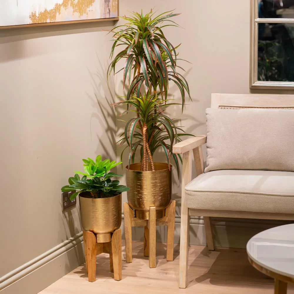 Tara Lane Aruna Planters with Mango Stand Set of 2 - Gold | TL6933