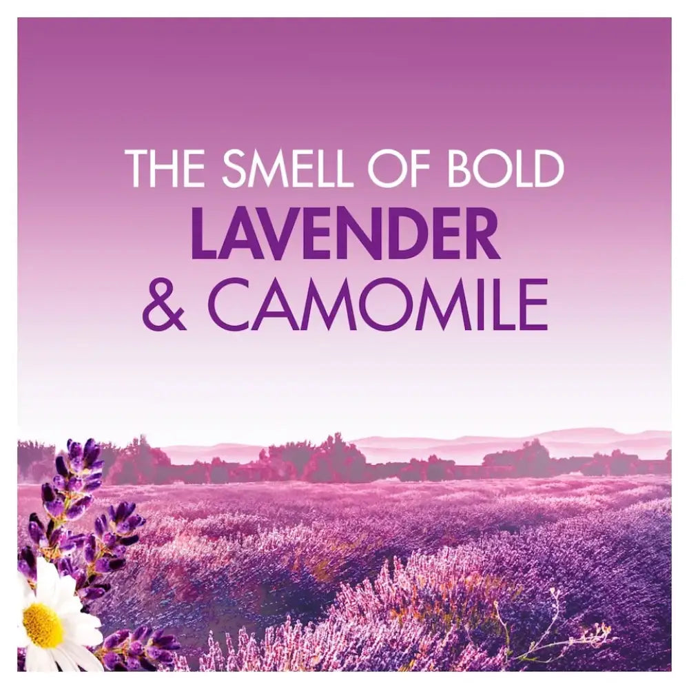 Product image of Bold All-in-1 PODS Lavender & Camomile laundry tablets featuring text on a gradient purple background with a scenic lavender field landscape, white daisy flowers, and purple flower blooms in the foreground