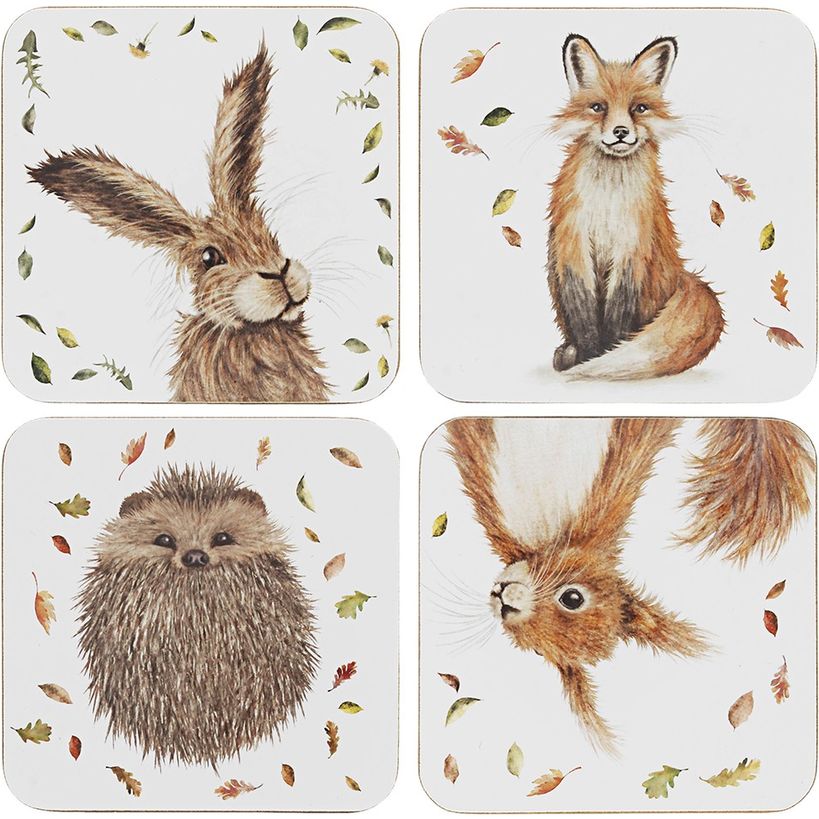Dunlevy Coasters Set of 4 - Wildlife | PG0560