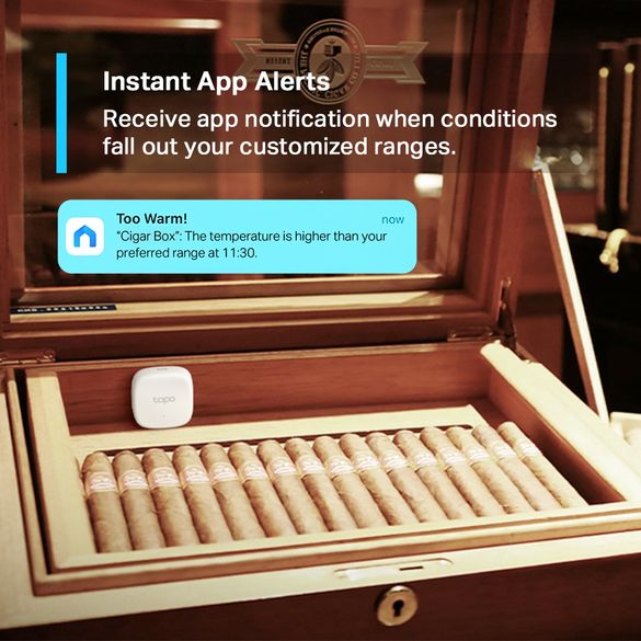 TP-Link Tapo T310 smart temperature and humidity sensor displayed in an open wooden cigar humidor with rows of cigars, showing app alert notification on smartphone screen indicating temperature monitoring feature