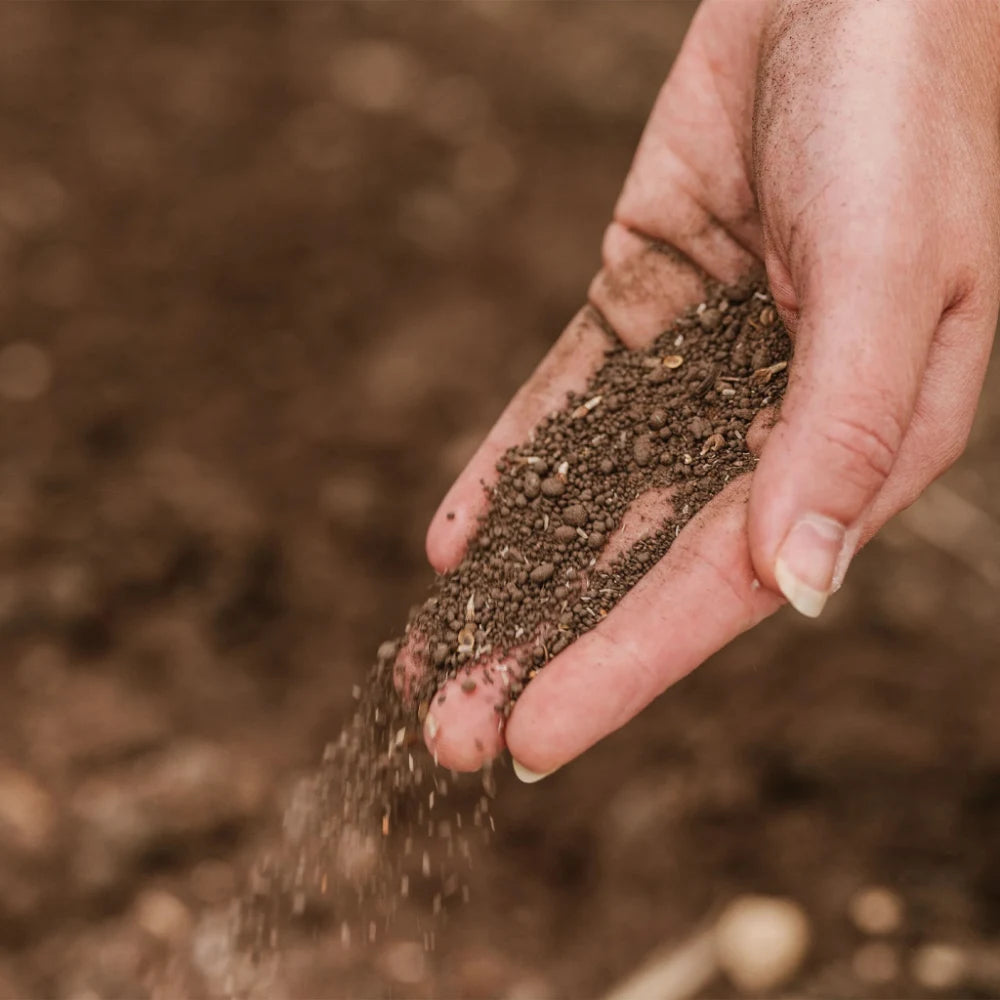 Unwins Nature's Haven Easy Wildflower Seed Mix 1.2kg | 20500318