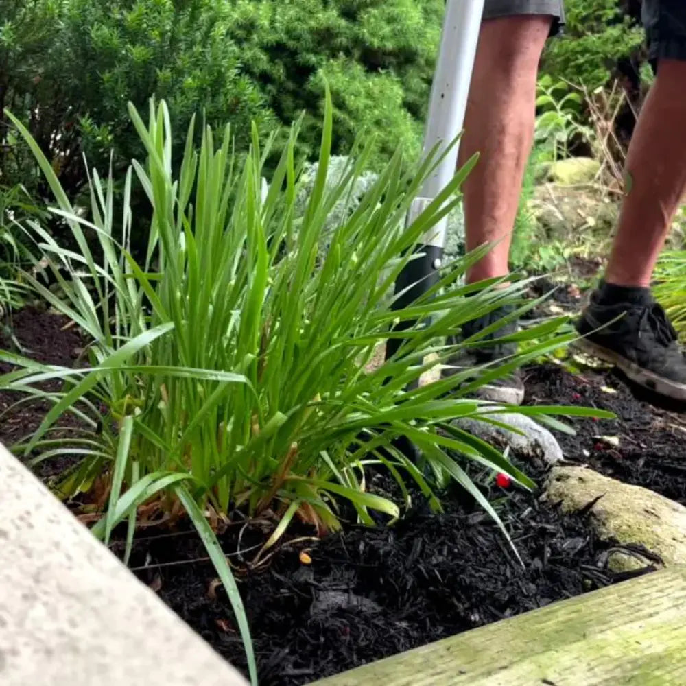 JML Rayzer Root Saw Shovel Spade | A002575