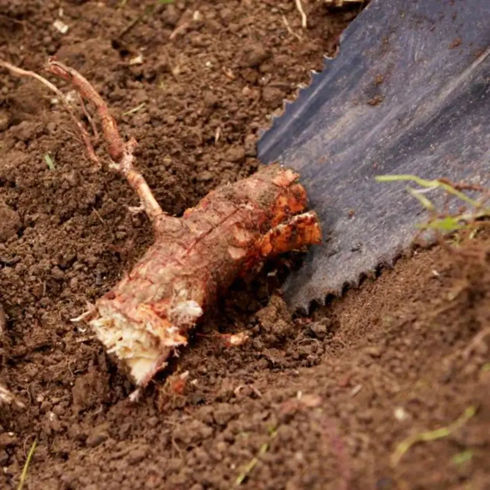 JML Rayzer Root Saw Shovel Spade | A002575