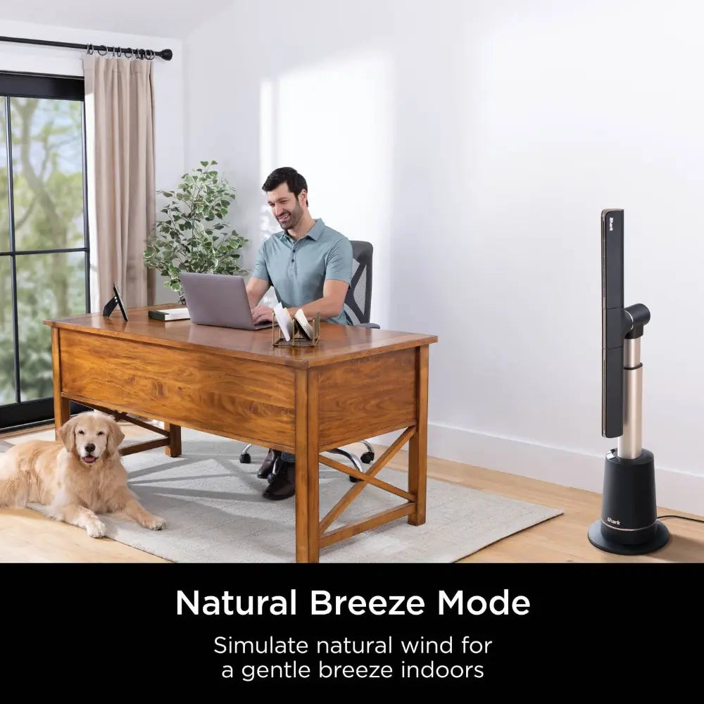 Shark TurboBlade High Speed Multi-Directional Cooling Fan System | TF200SUK