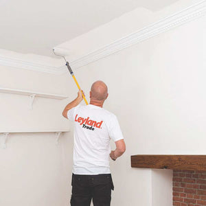 Leyland Trade worker painting white ceiling with roller and extended pole in residential interior with decorative cornice and brick fireplace