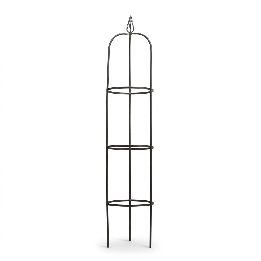 Tall black metal garden obelisk with decorative pointed finial top and three horizontal support rings for climbing plants