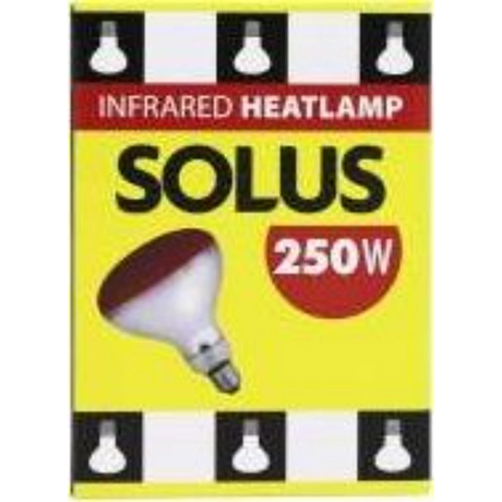 Solus 250W ES R125 Infra Red Heat Lamp Red Bulb | SOL080201