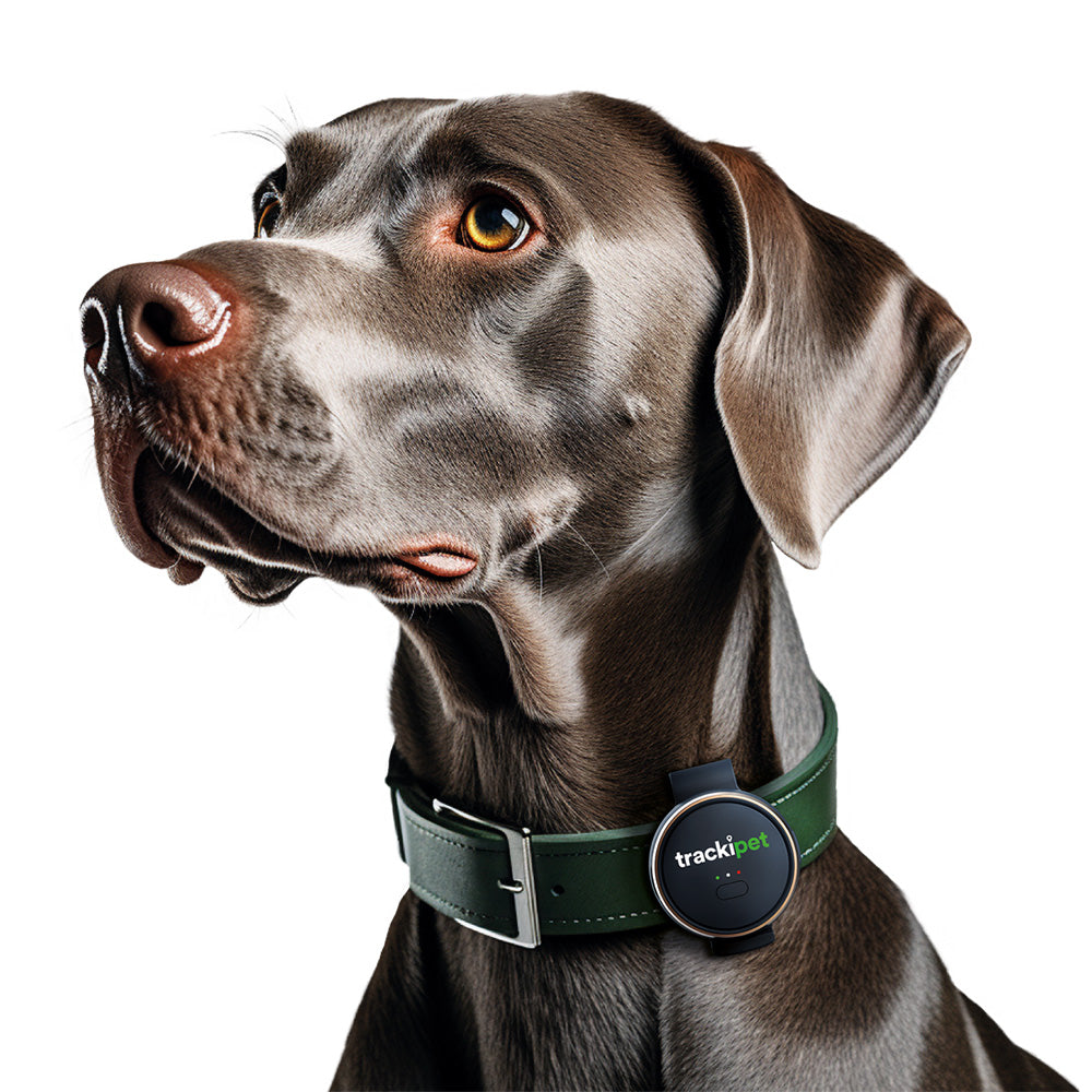 Trackipet Tracki Dog GPS Tracker 7463 Heavins