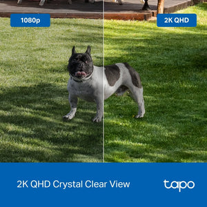 TP-Link Tapo C425 Smart Wire-Free Security Camera | TAPOC425