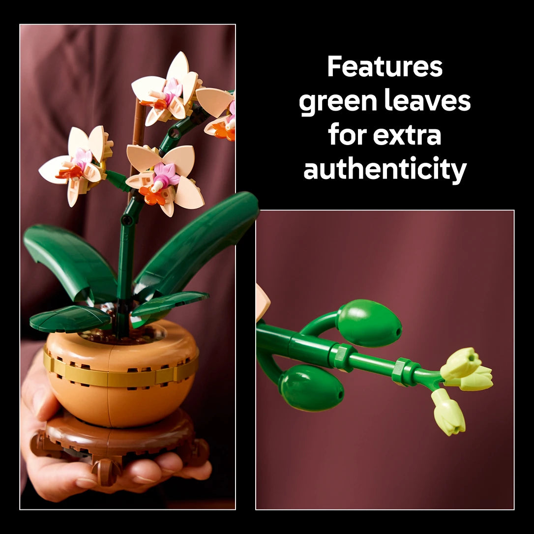LEGO Mini Orchid 10343 set displaying assembled tan and gold potted plant with white and pink orchid flowers, green leaves and stems, shown in two views against burgundy background with product feature text highlighting green leaf details