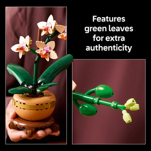 LEGO Mini Orchid 10343 set displaying assembled tan and gold potted plant with white and pink orchid flowers, green leaves and stems, shown in two views against burgundy background with product feature text highlighting green leaf details