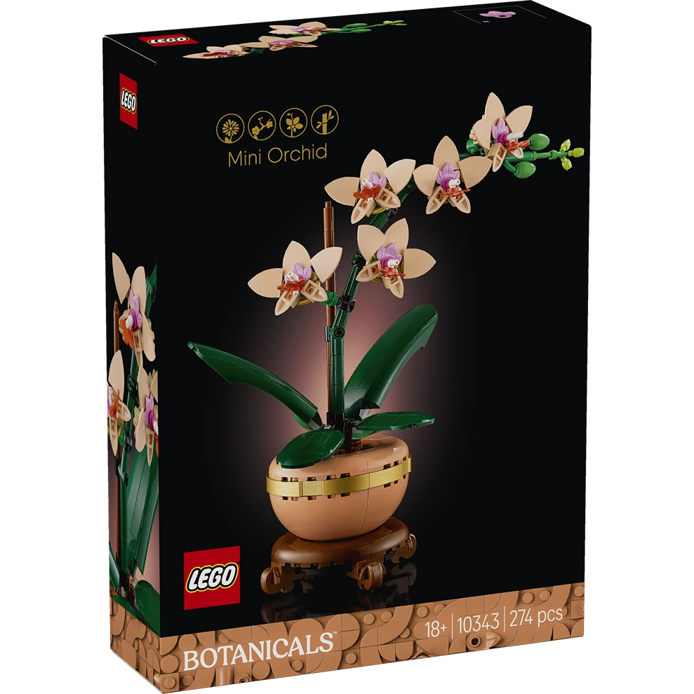 LEGO Botanicals Mini Orchid 10343 set box showing completed beige and pink orchid flowers with green leaves in terracotta pot on wooden stand, 274 pieces, age 18+